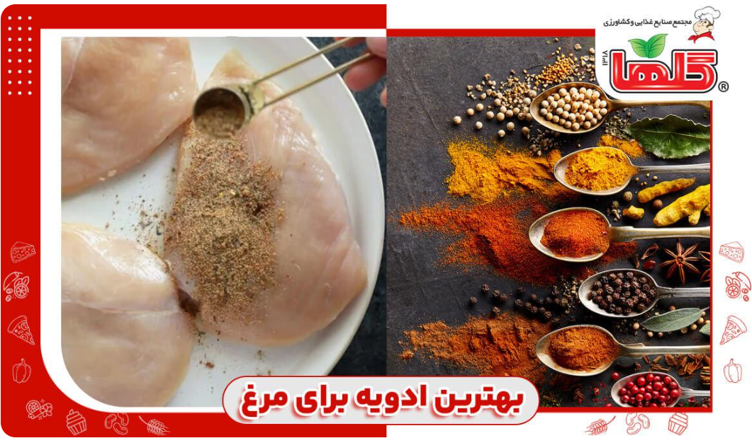 بهترین ادویه برای مزه دار کردن مرغ